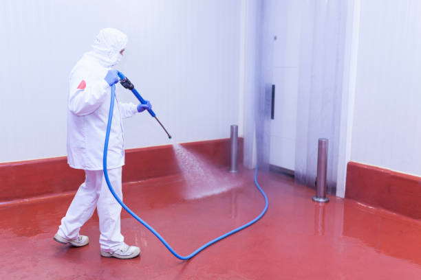 Best Spring Cleaning  in Ladoga, IN