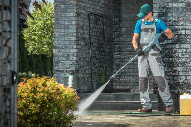 Best House Exterior Washing  in Ladoga, IN