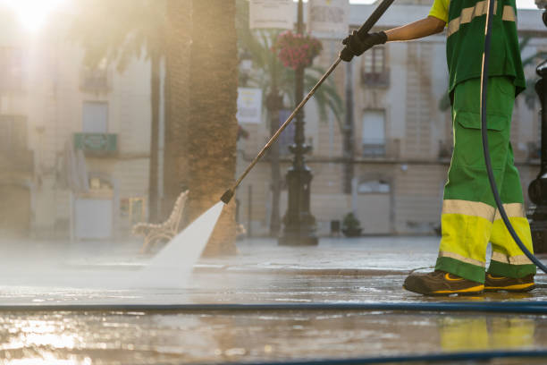 Best Playground Equipment Cleaning  in Ladoga, IN